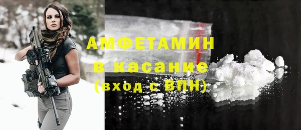 сатива Новокубанск