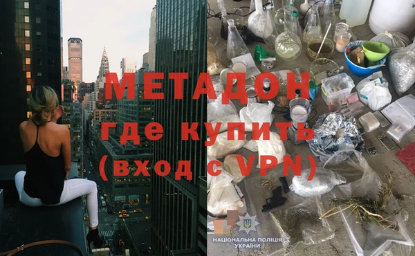 сатива Новокубанск