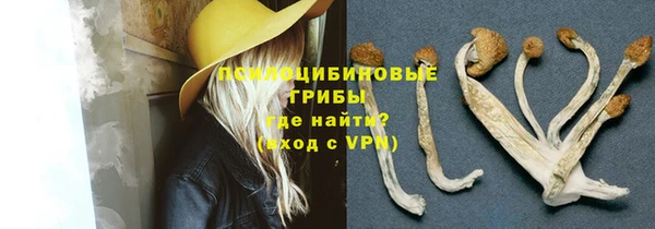 ALPHA PVP Новозыбков