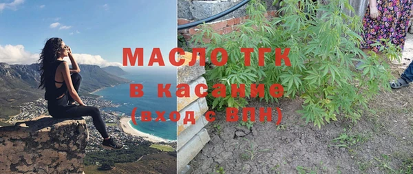 сатива Новокубанск