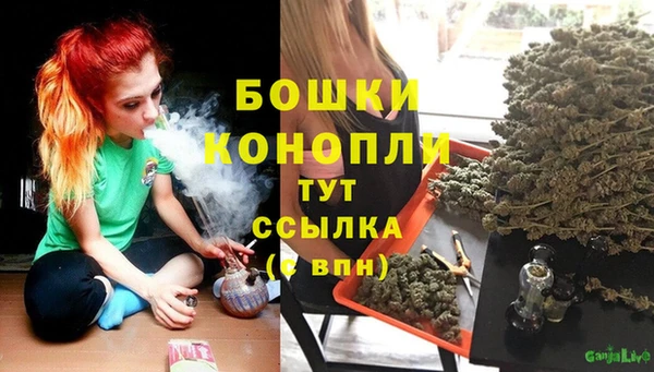 ALPHA PVP Новозыбков