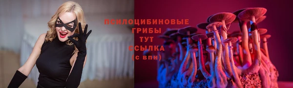 прущий лед Нефтекумск