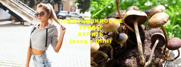 соль курить ск Нязепетровск