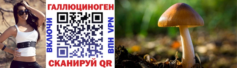 Галлюциногенные грибы Magic Shrooms  Лодейное Поле 