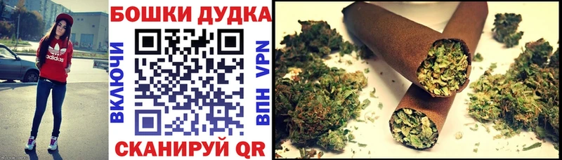 МАРИХУАНА Ganja  Лодейное Поле 